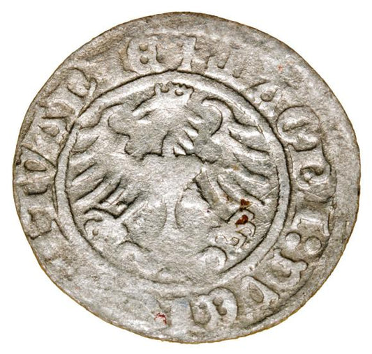 Półgrosz 1513 Zygmunt I Stary Litwa Wilno