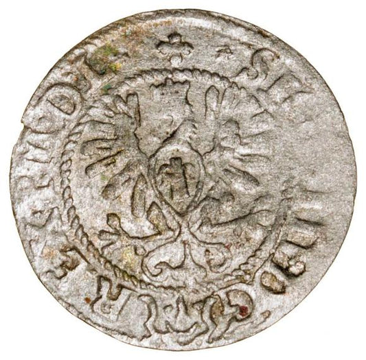 Półgrosz 1620 Zygmunt III Waza Polska Bydgoszcz